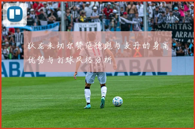 狄龙米切尔赞范德彪与麦丹的身高优势与打球风格分析